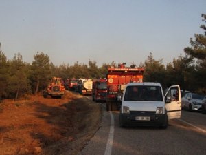 Kilis’teki orman yangını 5 buçuk saatte güçlükle kontrol altına alındı