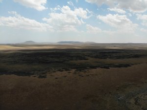 Ne bir damla su ne de kuş kaldı