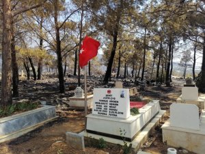 Mezarlık yandı, şehidin mezarı ve bayrak sapasağlam ayakta kaldı