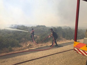 Aydın Büyükşehir Belediyesi gün boyu yangınlarla mücadele etti