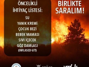 Efeler’den yangın bölgelerine yardım eli