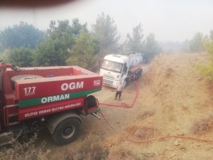 Mezitli Belediyesi, yangının söndürülmesine destek veriyor