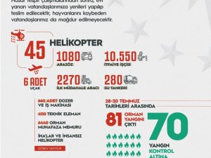 Cumhurbaşkanı Erdoğan: “Yangından etkilenen hiçbir vatandaşımızı mağdur etmeyeceğiz”