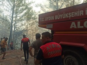 Aydın Büyükşehir Belediyesi itfaiye ekipleri Marmaris yangınına müdahale ediyor
