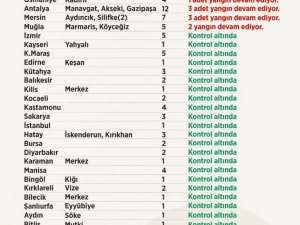 Tarım ve Orman Bakanı Pakdemirli, orman yangınlarına ilişkin son bilgileri paylaştı