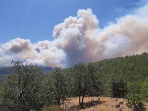 Mersin’de ormanlık alanlara girişler yasaklandı