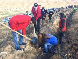 Bayburt Gençlik Merkezi 3 bin fidan dikecek