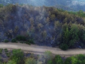 Kozan’daki yangın kontrol altına alındı