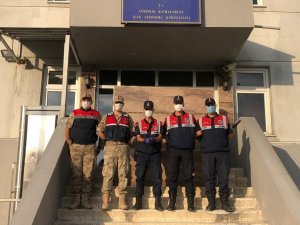 Jandarma ekiplerinin bulduğu ebabil kuşu tedavi altına alındı