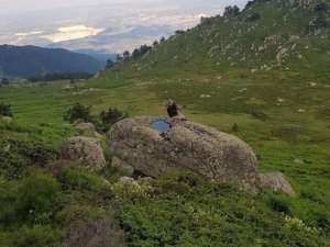 Ortasında sürekli su olan kayaya ilgi