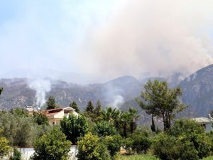 Yangın alanları afet bölgesi ilan edildi