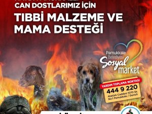 Pamukkale Belediyesi can dostları için kampanya düzenledi