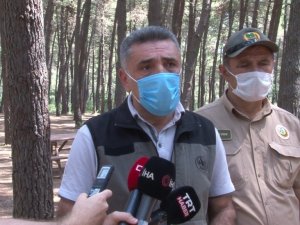 İstanbul Orman Bölge Müdürü Yusuf Şahin’den orman yasakları ile ilgili açıklama