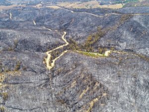 Aladağ’da yanan ormanlık alanlar drone ile görüntülendi
