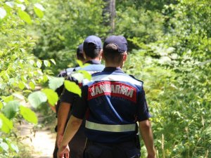 Vatandaşların girmesinin yasaklandığı ormanlarda sıkı denetim