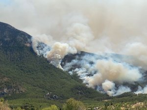Akseki’de orman yangını devam ediyor