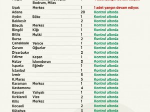 Tarım ve Orman Bakanı Pakdemirli, orman yangınlarına ilişkin son bilgileri paylaştı