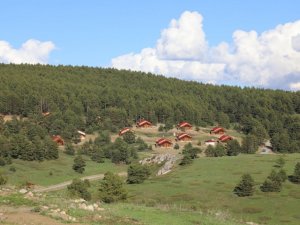 Erzincan’da ormanlık alanlara girişler 15 Eylül’e kadar yasaklandı