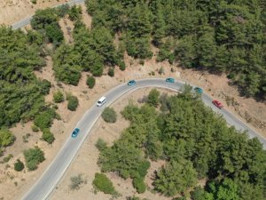 İzmir’in ormanları için koruma kalkanı