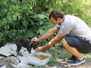 Ormanlara girişler yasaklanınca hayvanlar için harekete geçtiler