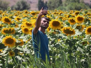 Güne bakanlar başkaldırdı, ortaya bu manzara çıktı