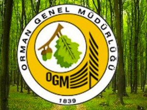 OGM: “Bugün çıkan 4 orman yangınının tamamını kontrol altına aldık”