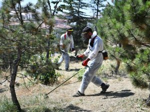 Mamak’ta yabani ot temizliği