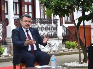 Yanan ormanları yeşertmek için harekete geçildi