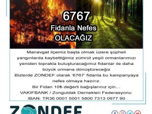 ZONDEF’ten “6767” fidan kampanyası