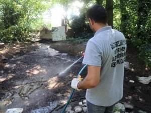 Sivrisinekle mücadele sürüyor