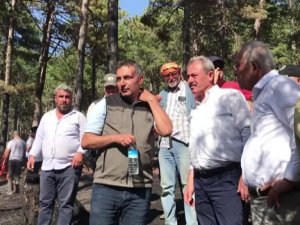 AK Parti Milletvekili Tin ‘Yeşil vatanı’mızı koruyalım’ çağrısında bulundu