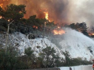 Marmaris Ticaret Odası’ndan yangınla mücadeleye büyük destek