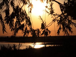 İç Anadolu Bölgesinin doğa harikası Savcılı Plajı, gün batımı manzarasıyla hayran bıraktı