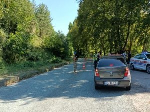 Jandarma ormanları havadan ve karadan denetliyor