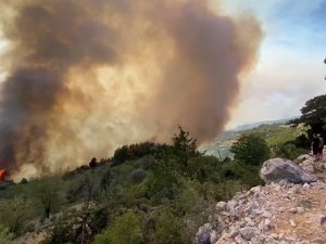 Rüzgarın da etkisi ile Güğlen Dağında yangın etkili oluyor