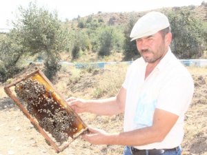 Muğla yangınının ateşi Afyonkarahisar’daki arıcıları da sardı