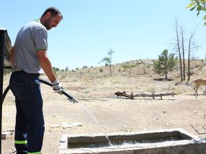 Sıcaklıklar arttı, Meram’da can dostlar unutulmadı