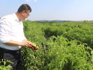 Çiftçiye ilaçlama tavsiyesi