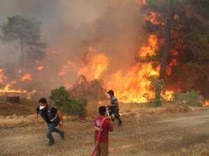 Bir mahalle yanmaktan son anda böyle kurtarıldı