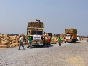 Nazilli’den toplanan yardımlar Manavgat’a ulaştı