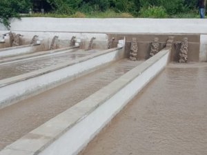 Hakkari’de alabalık tesisi selde zarar gördü