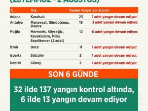 Tarım ve Orman Bakanı Pakdemirli: “137 orman yangını kontrol altında, 13 orman yangını devam ediyor”