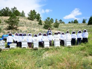 Mamak’tan ’bal’ gibi branş