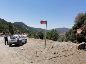 Çameli ormanları korumak için seferber oldu