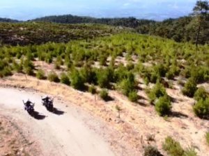 Nazilli’de yangınlara karşı havadan ve karadan denetim yapılıyor