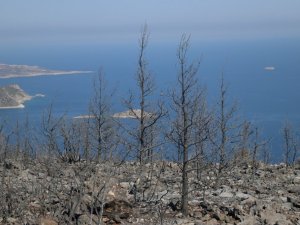 Seyir tepesinden acı fotoğraf net şekilde görülüyor