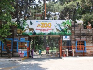 Antalya Hayvanat Bahçesi ziyarete kapatıldı