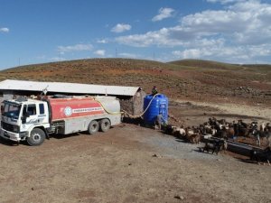 DBB kuraklıktan etkilenen hayvancılara tankerlerle su taşıyor