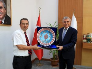 Endüstriyel kenevirler bilimsel araştırmalarda kullanılacak