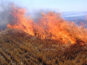 Çiftçilere "anız" uyarısı